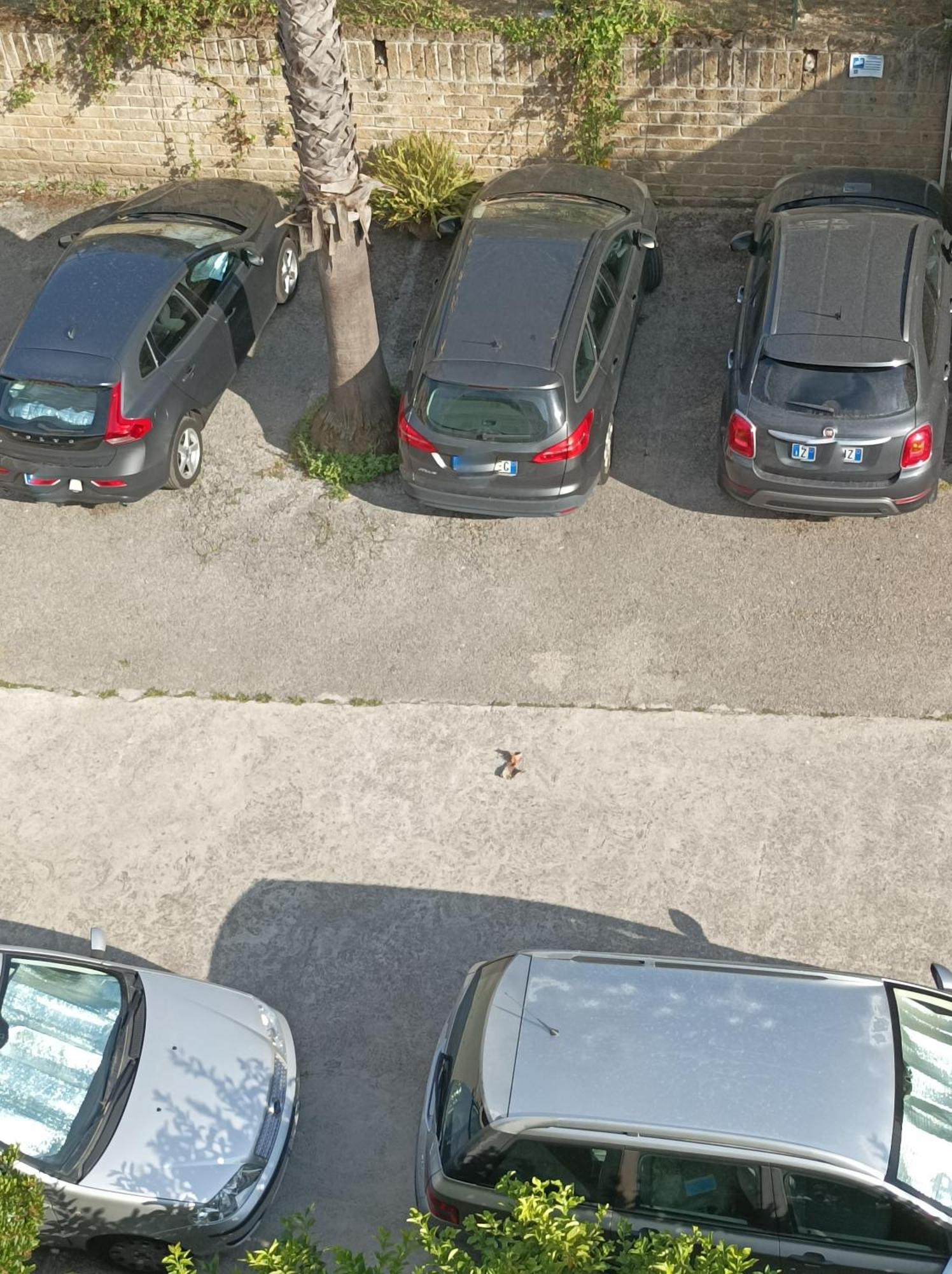 קופרה מריטימה Villaggio Verde Cupra מראה חיצוני תמונה